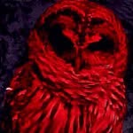 Shane Weston - @crimson_owl - Instagram