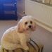 Shane Weston - Facebook