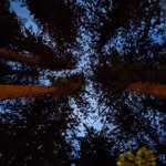 Shane Weston - @shane.weston.33 - Instagram