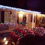 Shane Wetzel - @wetzelshane608 - Instagram
