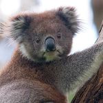 Shane Wiley - @aus_ventures - Instagram
