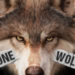 Shane Wiley - @shane.wiley.7 - Instagram