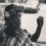 Shane Wilkins - @wilkinsshane - Instagram