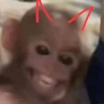 Shane Yates - @greased_up_furball_fards_again - Instagram