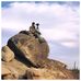 Shane Yount - Facebook