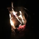 Shane J - @shane_e_johnson - Instagram