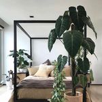 Shani home styling - @shanigeva2 - Instagram