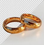 Shani Gold House - Facebook