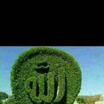 Shania Ali - Facebook