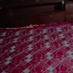 Shania green - @shaniagreen426 - Instagram