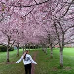 Shania - inactive - @shania.smith - Instagram