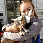 Shanice Lam - @shanchels - Instagram