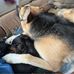 Shanna Browning - Facebook
