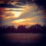 Shanna Bigham-Carpenter - @shannatrieb79 - Instagram
