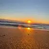 Shannan.Fields - @shannan.fields - TikTok