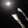 shann.gleason - @shann.gleason - TikTok