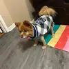 Shanna King - @shanna.king8 - TikTok