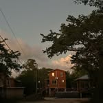 Shanna Lopez Williams - @howlerhousebelize - Instagram