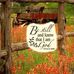Shanna Mann - Facebook