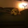 shannameyers - @shanna.meyers - TikTok