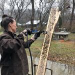 Christine Shannon Aaron - @christineaaronart - Instagram