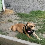 Shannon Akers - @lazyakers - Instagram