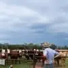 Albert Shannon - @albert.shannon1 - TikTok