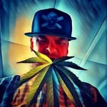 Shannon  ANDERSEN - @shanbreeder - Instagram