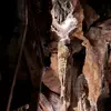 shannonapplewhite - @shannonapplewhite - TikTok