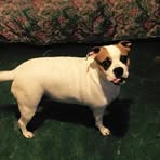 Shannon Arledge - Facebook