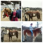 shannon aronson - @redneck_for_life16_jacobs_rose - Instagram