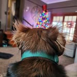 Shannon Grant Autry - @shanautry - Instagram