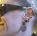 Shannon Azzaro - Facebook
