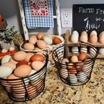 Shannon Baughman - @creeksidecrittershomestead - Instagram