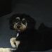 Shannon Baughman - Facebook