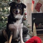Shannon Floyd Baughman - @shannon_floyd_baughman - Instagram