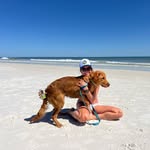 Shannon Beale - @shannonbeale251 - Instagram