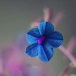 Shannon Beaton - @beaton.shannon - Instagram