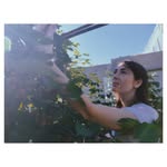 Shannon Belcher - @shannonbelcher8 - Instagram