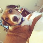 Shannon Belcher - @shannon.belcher.10 - Instagram