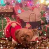 Shannon Benedict - @shannonbenedict8 - TikTok