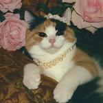 Shannon Benton - @shananigansb - Instagram