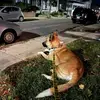 Shannon Bernier - @shannon.bernier5 - TikTok