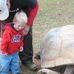 Shannon Bertelsen - Facebook