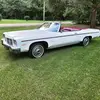 shannonbickham195 - @shannonbickham195 - TikTok