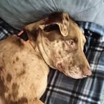 Shannon Hoarle Bilodeau - @shannon.h.bilodea - Instagram