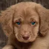 shannonbingham224 - @shannonbingham224 - TikTok
