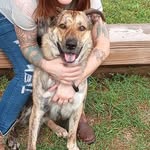 Shannon Blankenship - @shannonblankenship1011 - Instagram