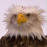 Shannon Bledsoe - @shannon.bledsoe - Instagram