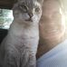 Shannon Blessing - Facebook